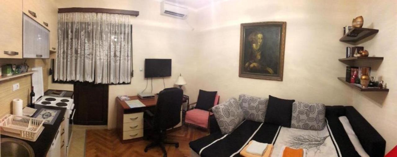 Center Lux Apartment Podgoriţa Exterior foto