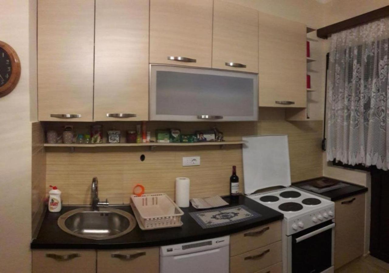 Center Lux Apartment Podgoriţa Exterior foto
